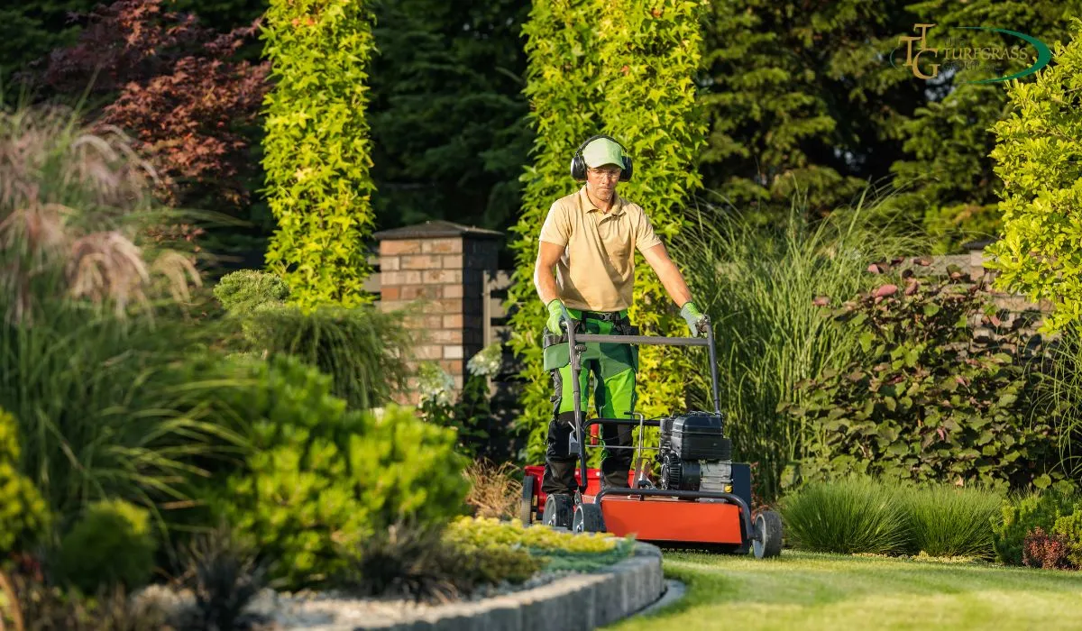 Tree removal service on a Massachusetts property