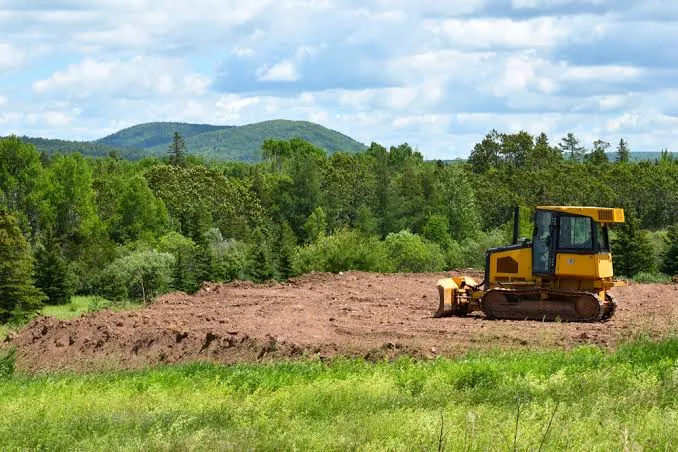 Land clearing and brush removal on an overgrown Massachusetts lot