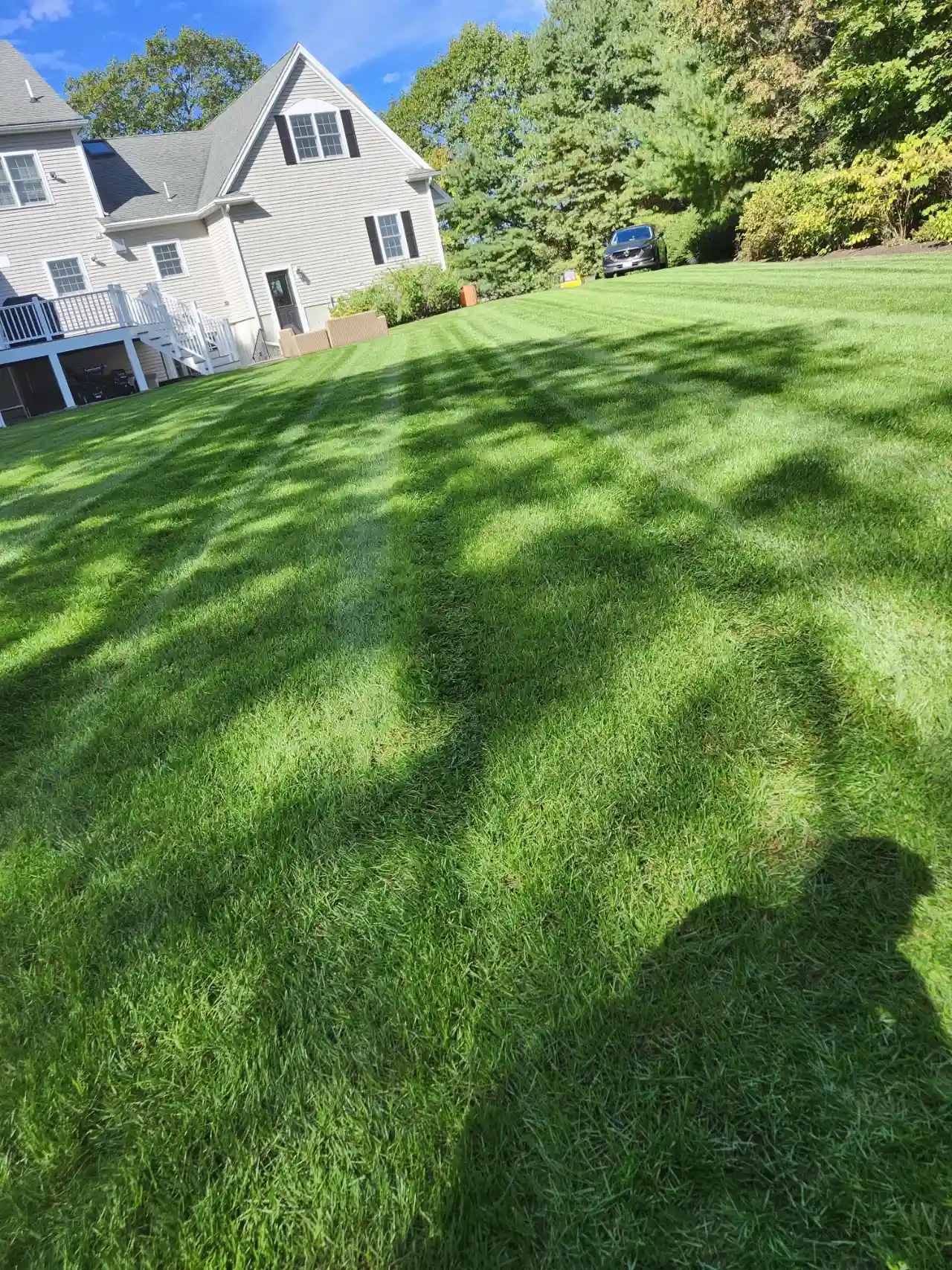 Freshly cut lawn beside a residential home in Massachusetts