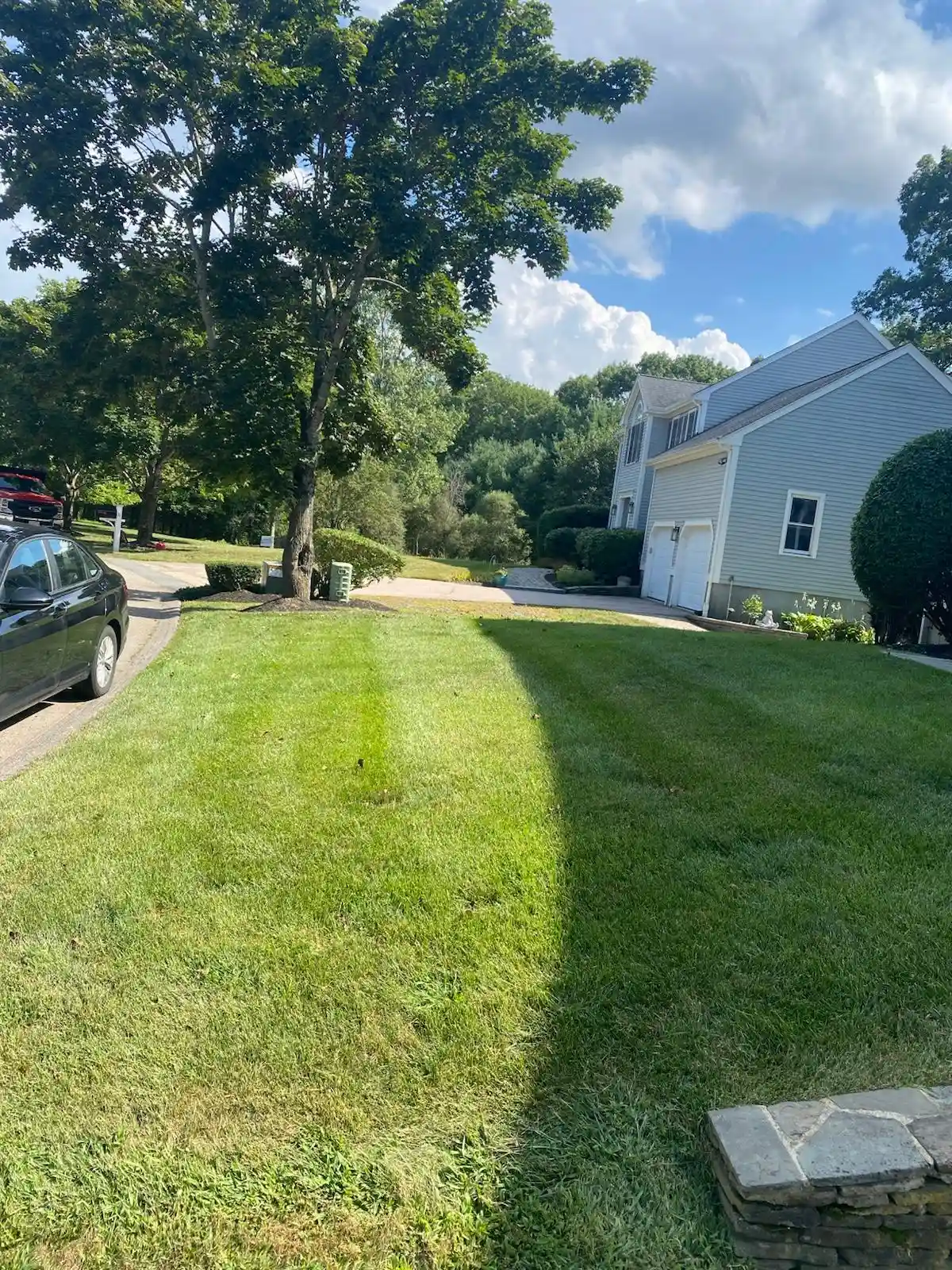 Maintained front lawn along a residential driveway in Massachusetts