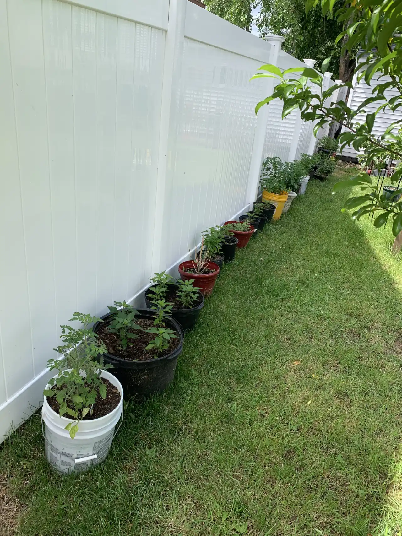 White vinyl privacy fence installed on a Massachusetts residential property