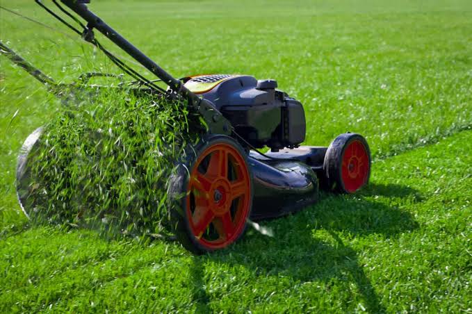 Lawn mowing and edging on a Massachusetts lawn