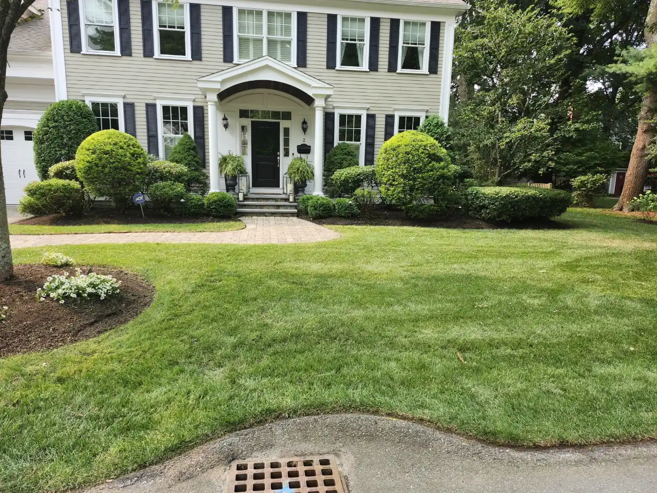 Trimmed shrubs and landscape beds in front of a Massachusetts home