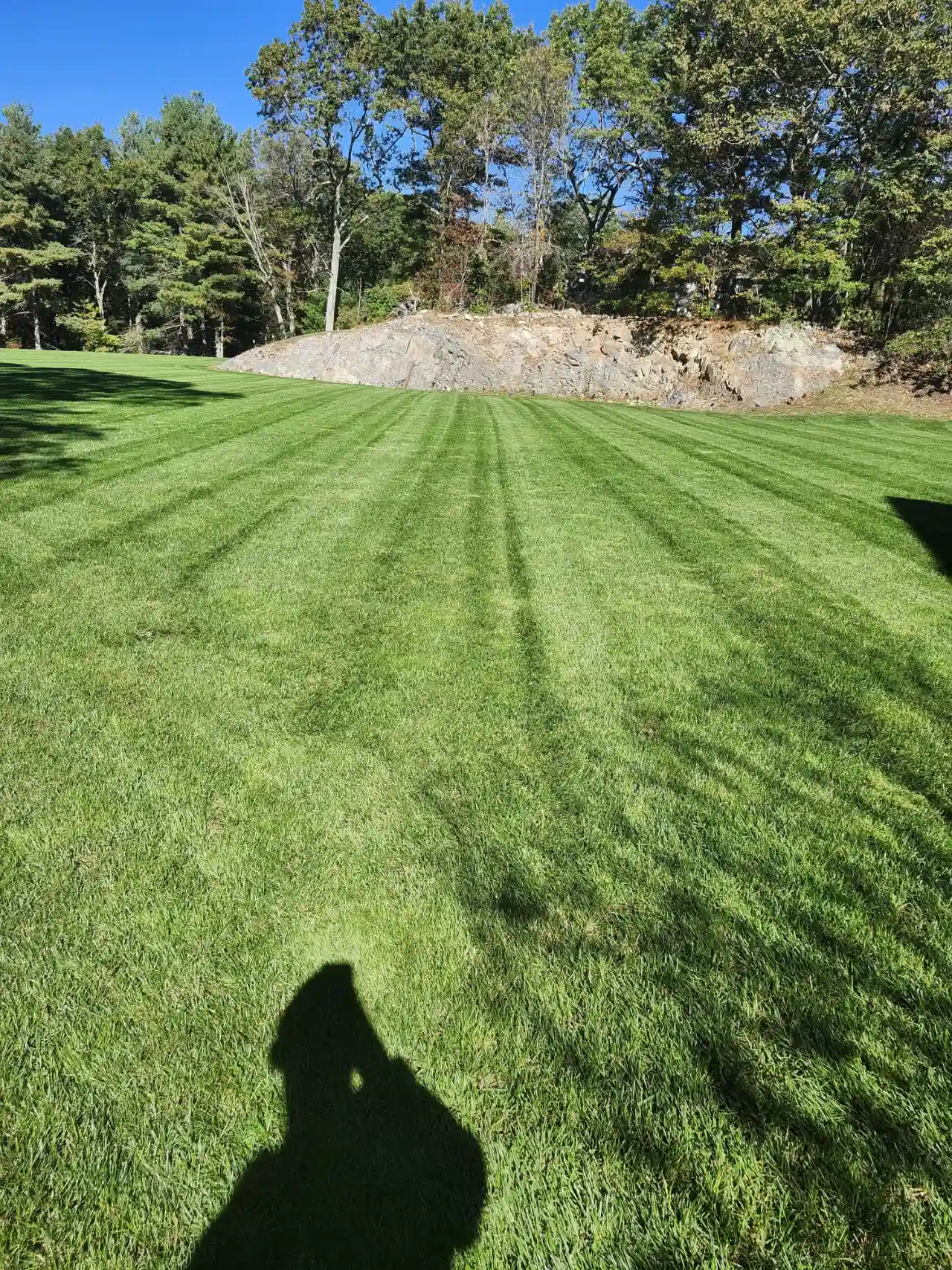 Fresh mowing lines on a large residential lawn in Massachusetts